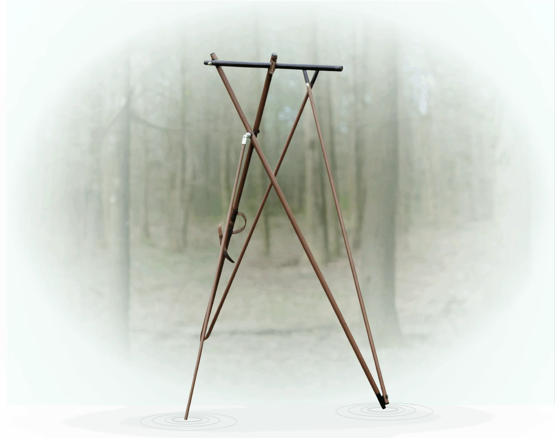 Frame 1261157546
